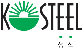 코스틸 정직
