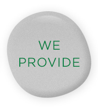 We provide